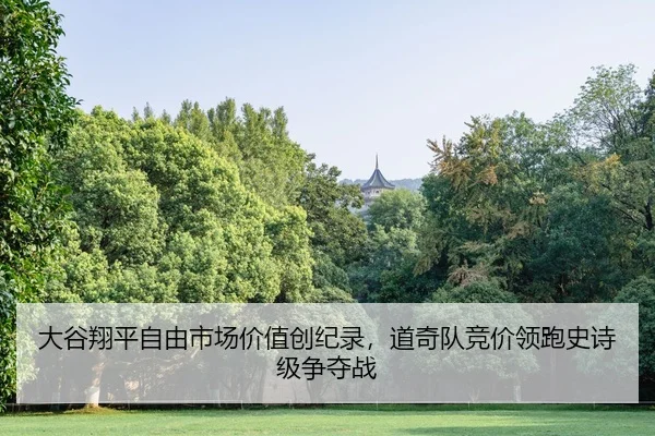 da-gu-xiang-ping-zi-you-shi-chang-jia-zhi-chuang-ji-lu-dao-qi-dui-jing-jia-ling-pao-shi-shi-ji-zheng-duo-zhan-2-571.jpg