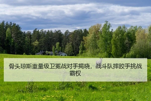 gu-tou-qiong-si-zhong-liang-ji-wei-mian-zhan-dui-shou-jie-xiao-zhan-dou-dui-shuai-jiao-shou-tiao-zhan-ba-quan-2-347.jpg