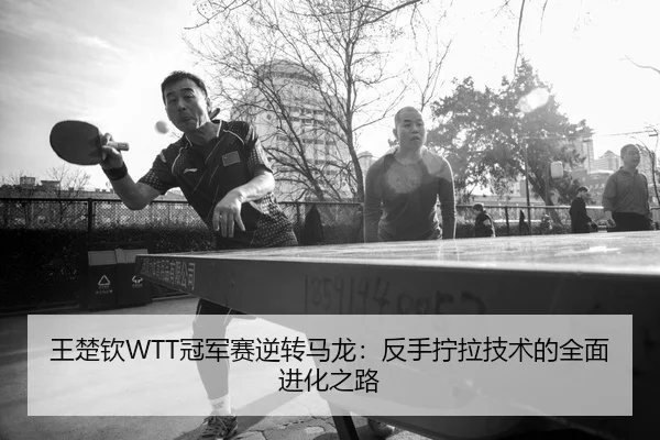 wang-chu-qin-guan-jun-sai-ni-zhuan-ma-long-fan-shou-ning-la-ji-shu-de-quan-mian-jin-hua-zhi-lu-2-759.jpg